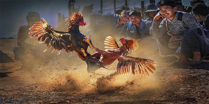 go789 xổ số bữa nay