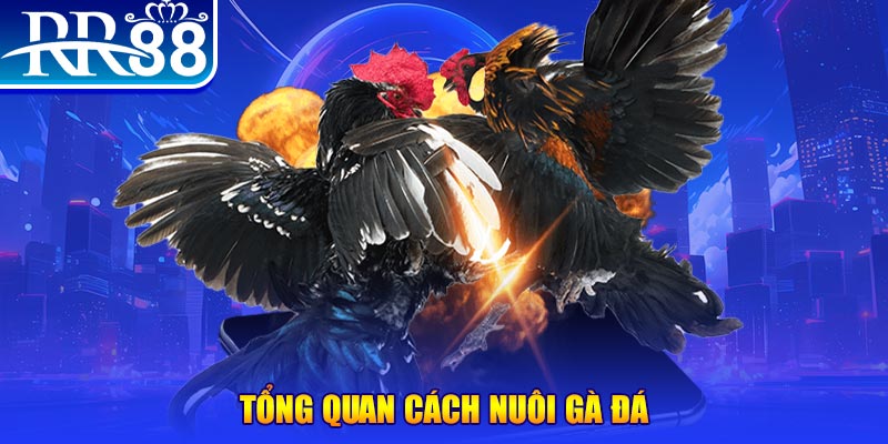 go789 game nổ hũ rút tiền mặt là gì