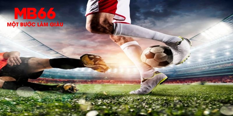 go789 trực tiếp đá gà thomo