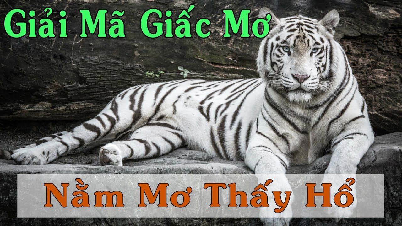 go789 nổ hũ là game gì