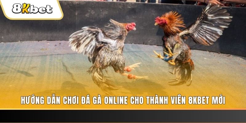 go789 JILI Game Bài 3d