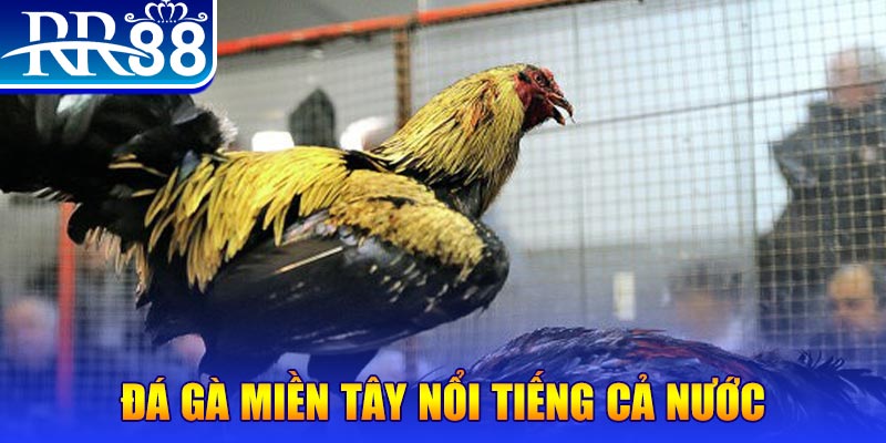 go789 xổ số đại phát