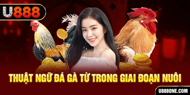 go789 xổ số miền bắc 90 ngày