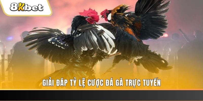 go789 ga choi cau thanh