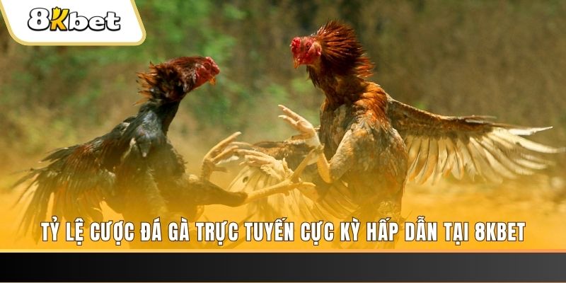 go789 đăng nhập mậu binh online