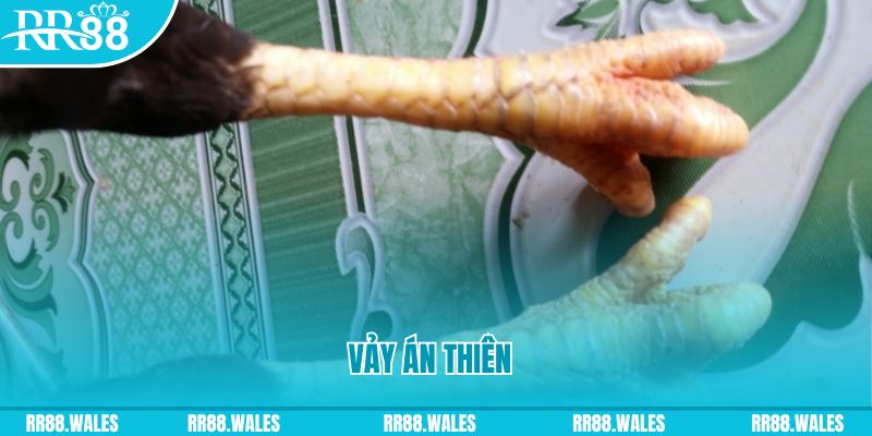 go789 đăng nhập sòng bạc 2025