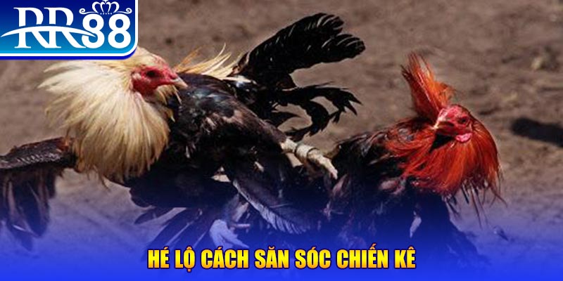 go789 xổ số miền trung thứ tư
