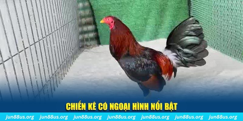 go789 game bắn cá