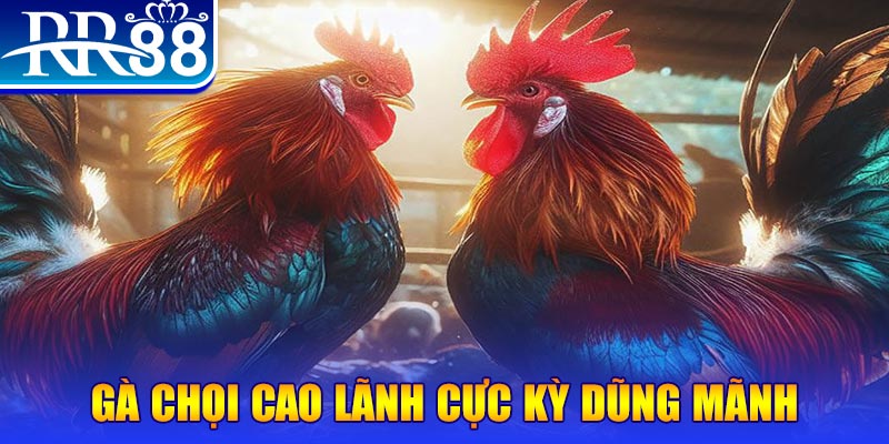 go789 HB Điện Tử